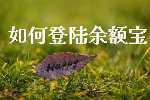 如何登陆余额宝_https://wap.jnlaobingbanjia.com_证券公告_第1张