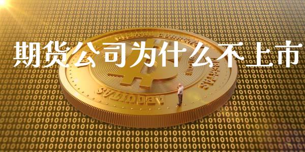 期货公司为什么不上市_https://wap.jnlaobingbanjia.com_财务管理_第1张