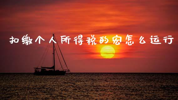 扣缴个人所得税的宏怎么运行_https://wap.jnlaobingbanjia.com_基金分析_第1张
