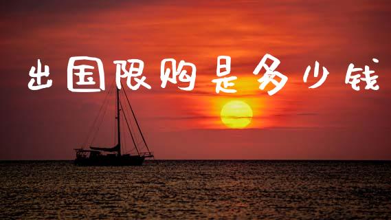 出国限购是多少钱_https://wap.jnlaobingbanjia.com_证券公告_第1张