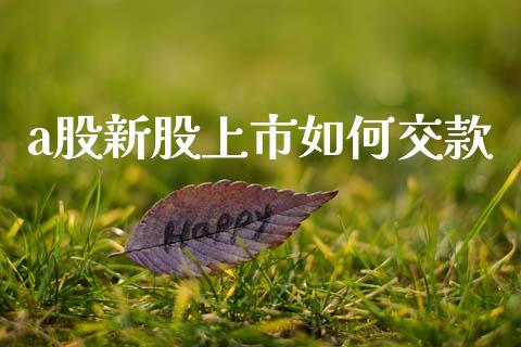 a股新股上市如何交款_https://wap.jnlaobingbanjia.com_财经资讯_第1张