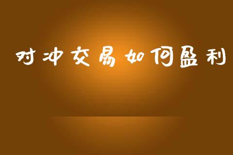 对冲交易如何盈利_https://wap.jnlaobingbanjia.com_财务管理_第1张