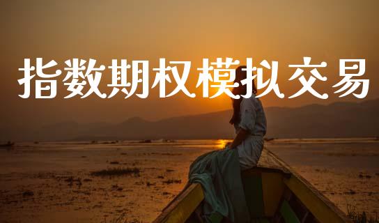 指数期权模拟交易_https://wap.jnlaobingbanjia.com_财务管理_第1张