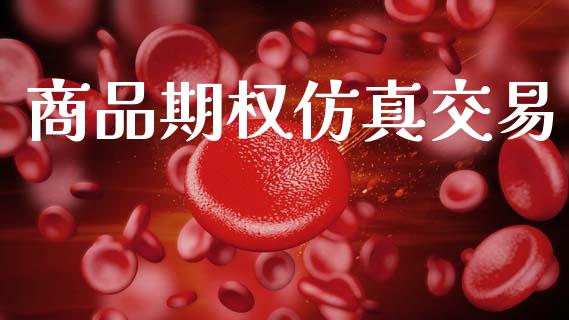 商品期权仿真交易_https://wap.jnlaobingbanjia.com_金融理财_第1张