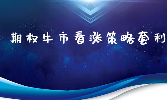 期权牛市看涨策略套利_https://wap.jnlaobingbanjia.com_财务管理_第1张