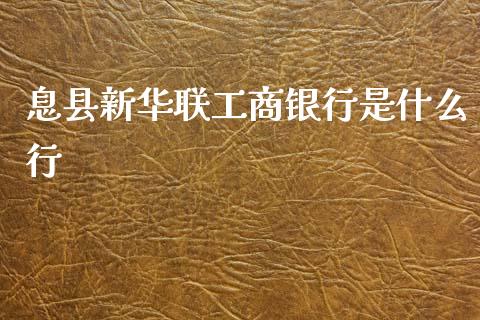 息县新华联工商银行是什么行_https://wap.jnlaobingbanjia.com_金融理财_第1张