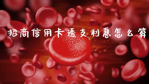 招商信用卡透支利息怎么算_https://wap.jnlaobingbanjia.com_金融理财_第1张