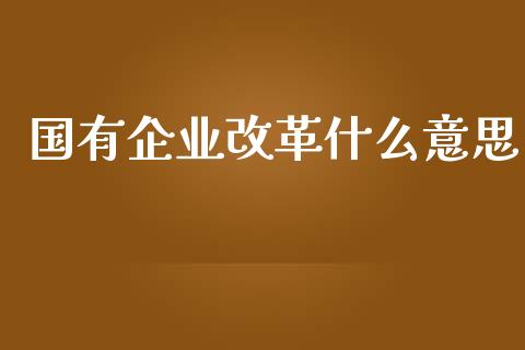 国有企业改革什么意思_https://wap.jnlaobingbanjia.com_财经资讯_第1张