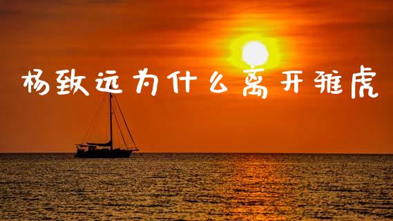 杨致远为什么离开雅虎_https://wap.jnlaobingbanjia.com_金融理财_第1张