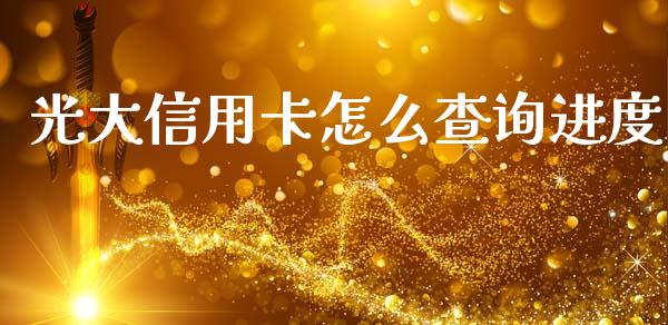 光大信用卡怎么查询进度_https://wap.jnlaobingbanjia.com_证券公告_第1张