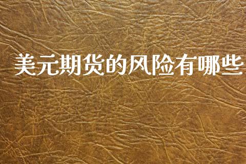 美元期货的风险有哪些_https://wap.jnlaobingbanjia.com_基金分析_第1张
