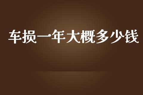 车损一年大概多少钱_https://wap.jnlaobingbanjia.com_财务管理_第1张