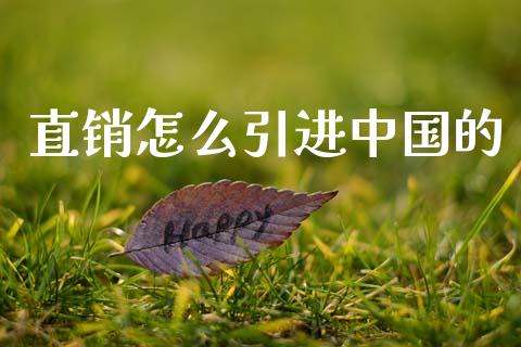 直销怎么引进中国的_https://wap.jnlaobingbanjia.com_基金分析_第1张