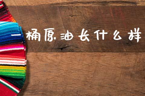 一桶原油长什么样_https://wap.jnlaobingbanjia.com_金融理财_第1张