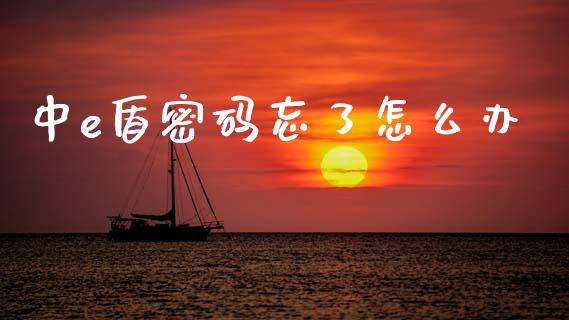 中e盾密码忘了怎么办_https://wap.jnlaobingbanjia.com_证券公告_第1张