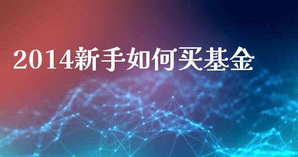 2014新手如何买基金_https://wap.jnlaobingbanjia.com_金融理财_第1张