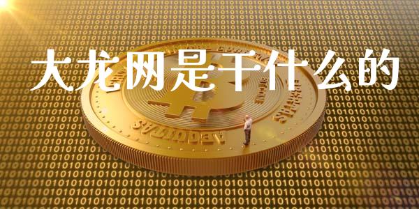 大龙网是干什么的_https://wap.jnlaobingbanjia.com_财经资讯_第1张