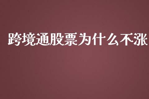 跨境通股票为什么不涨_https://wap.jnlaobingbanjia.com_基金分析_第1张