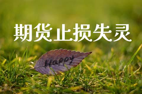 期货止损失灵_https://wap.jnlaobingbanjia.com_基金分析_第1张