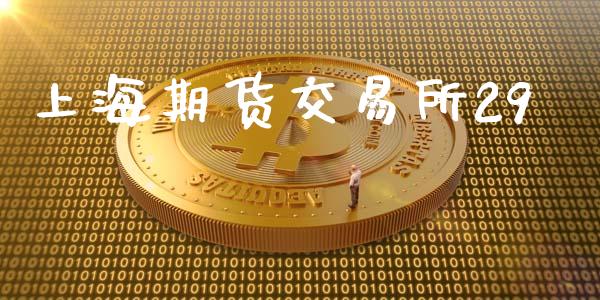 上海期货交易所29_https://wap.jnlaobingbanjia.com_财经资讯_第1张