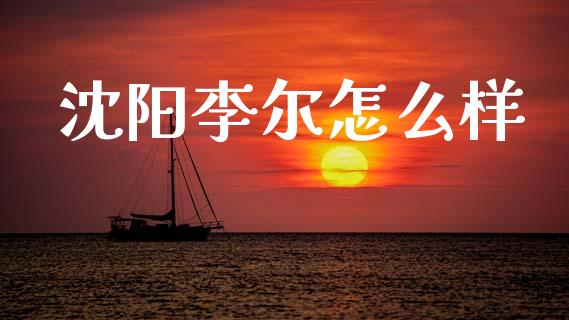 沈阳李尔怎么样_https://wap.jnlaobingbanjia.com_基金分析_第1张